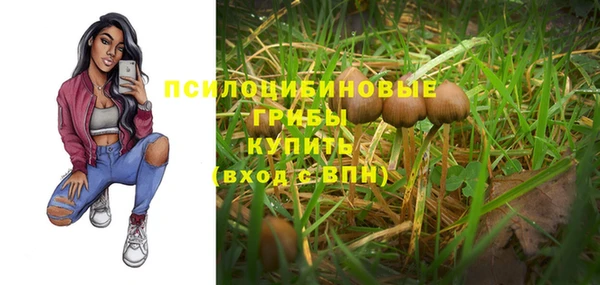 сатива Абаза