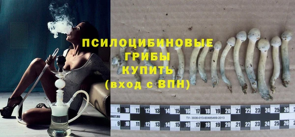 сатива Абаза