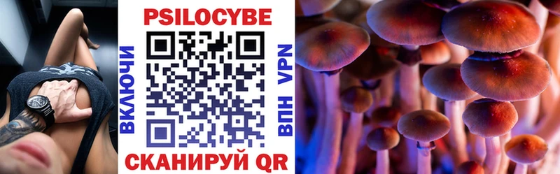 Псилоцибиновые грибы Psilocybine cubensis  Анадырь 