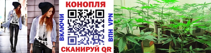 дарк нет клад  Анадырь  Бошки марихуана Bruce Banner 